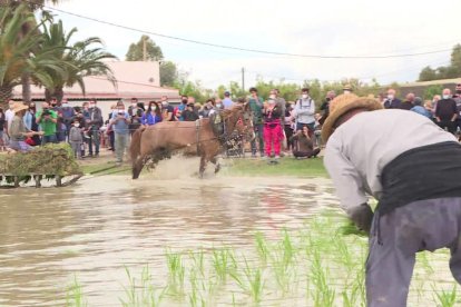 'Comando al sol' visita el Delta