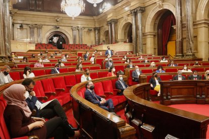 El Parlamento aprueba limitar el crecimiento de las granjas a las zonas con las aguas más contaminadas por los purines