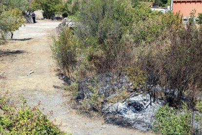 La dona va ser trobada completament calcinada entre aquests matolls a Sant Vicenç de Castellet.