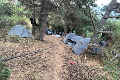 Los Mossos detuvieron la semana pasada a seis hombres y decomisaron 2.800 plantas en una zona boscosa de Soriguiera. La droga tenía un valor de cuatro millones de euros. Los arrestados, que han ingresado en prisión, vivían en el bosque