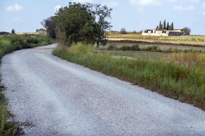 El camí que condueix al cementiri d’Hostafrancs.