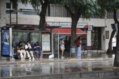 Les precipitacions d’ahir van deixar més de 14 litres per metre quadrat a Lleida ciutat.