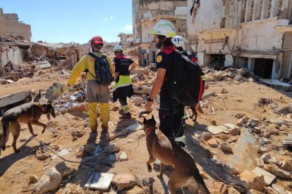 Bomberos del ayuntamiento de València trabajan sin descanso en Libia con sus perros.