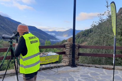 Un observador en uno de los puntos habilitados en el Parc Natural de l’Alt Pirineu.