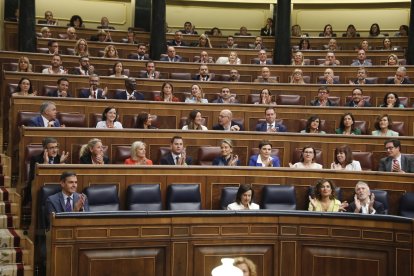 Diputats del PSOE aplaudeixen després d’aprovar-se la reforma.