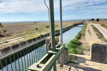 El Canal Principal a la zona entre Vilanova de Bellpuig i Golmés.