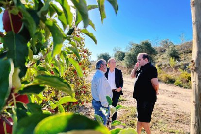 El Canal d’Urgell al seu pas per Arbeca una vegada finalitzada la campanya de regs encara que ha de garantir aigua per a proveïments.