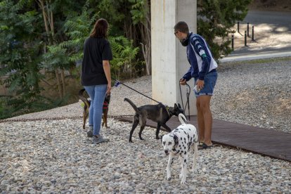 Lleidatans passejant amb el gos aquest estiu.