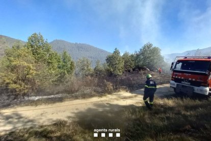 Efectius d’emergències ahir en l’incendi a Montellà i Martinet.