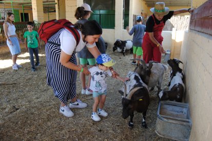 A La Manreana de Juneda la canalla va poder conèixer de prop els animals de granja.