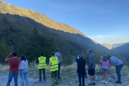 Desenes de persones assisteixen a l'espectacle de la brama del cérvol