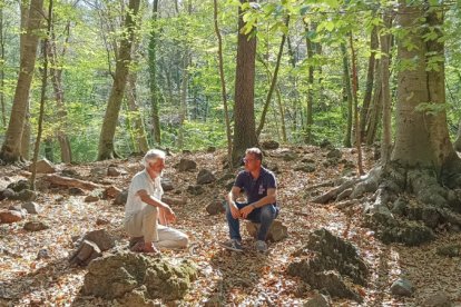 Torna 'Paisatges encreuats'