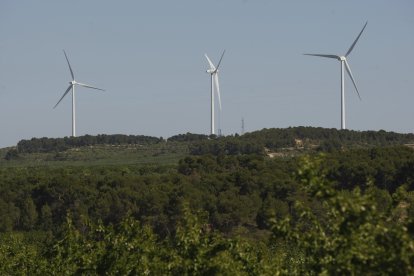 Imatge d’arxiu de molins de vent a les Garrigues.