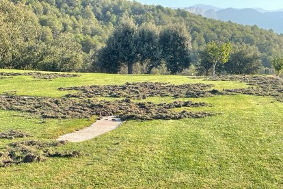 Senglars destrossen l’heliport de Can Boix ■ Una quinzena de senglars ha destrossat per segona vegada en deu dies l’heliport privat de l’hotel Can Boix de Peramola. Joan Pallarés, el seu propietari, va explicar ahir que ha instal·lat llums  ...