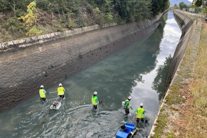 Buiden el canal de Gavet per treballs de manteniment i rescaten peixos