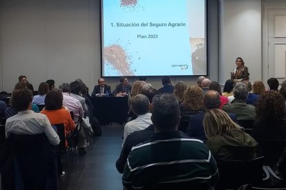 Un moment de la jornada celebrada ahir a Saragossa.