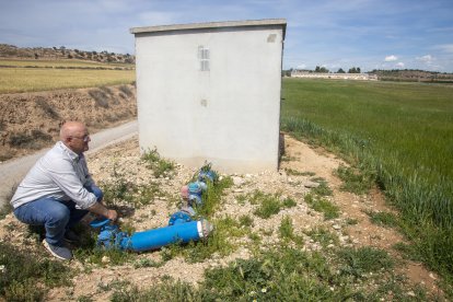 Minguella, agricultor de Vilagrassa i vicepresident del Canalet.