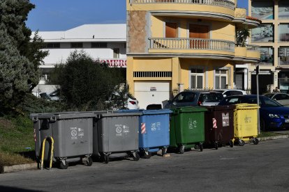 La nounada va ser trobada en un contenidor a Porto Cristo.