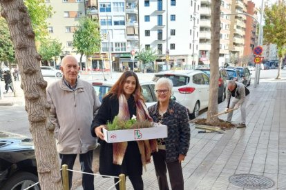 L’associació es dedica a decorar els escocells de la ciutat.