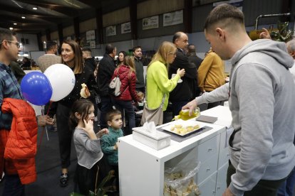 Dos nens ahir a la tarda a l’estand de la cooperativa a la Fira de l’Oli Verd de Maials.