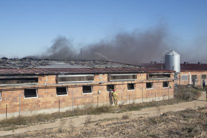 Efectius dels Bombers treballant ahir en l’extinció de l’incendi a la granja.