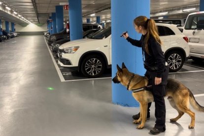 Una guia de la unitat canina dels Mossos, apuntant amb un làser, i el seu gos.