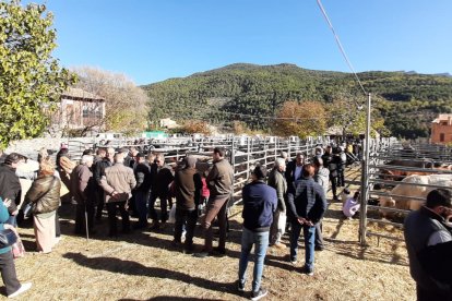 La mostra de bestiar d’Organyà va comptar amb mig centenar d’animals.