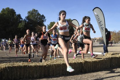 La prova partia de la pista d’atletisme i arribava fins a l’hípica i el circuit d’autocròs.