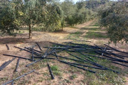 Les restes del cable que van robar la tarda de divendres passat.