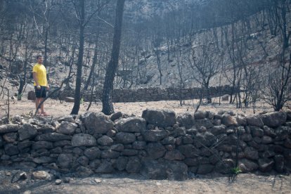 ascó. Des de les finques situades al sud del terme de Llardecans la Central Nuclear és relativament a prop en línia recta. A la foto diverses finques cremades i altres que van salvar-se. 