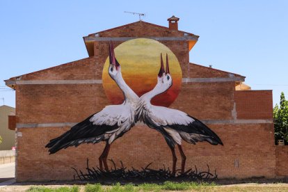 marellenga de bigotis. La façana d’aquesta casa està habitada per aquesta bonica espècie. 