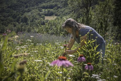 a mil metres d’alçada. Araós, a la Vall Farrera, és l’escenari del projecte de vida de la Gemma i el Pedro.