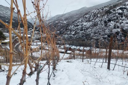 pantà de sant antoni. El projecte Aquoir ha submergit vins del Pallars sota l’aigua per criar-los.