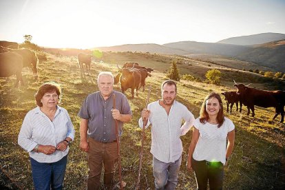 A Cal Tomàs, a la Pobla de Segur, porten quatre generacions dedicats a la cria i elaboració de carn de vedella.