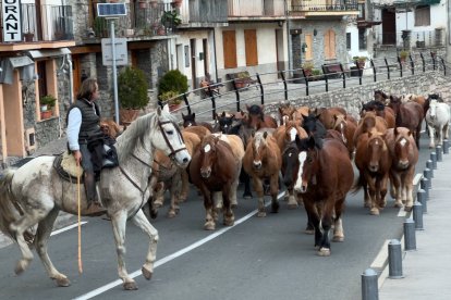 Els cavalls creuant dilluns Gerri de la Sal per l’Eix Pirinenc, l’N-260.