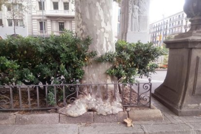 La força de la natura.