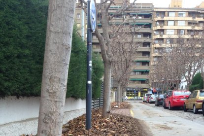 Brutícia als carrers de Lleida