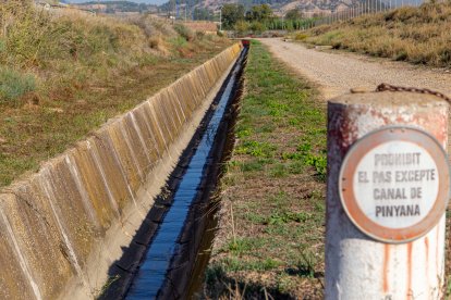 En el cas de Pinyana, la modernització d’aquest nou sector seguirà la de l’Horta, ja inaugurada.