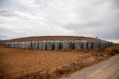 Els pneumàtics, aplegats a peu de la bassa, al Segrià. Aquest projecte en contempla fins a 6.262.