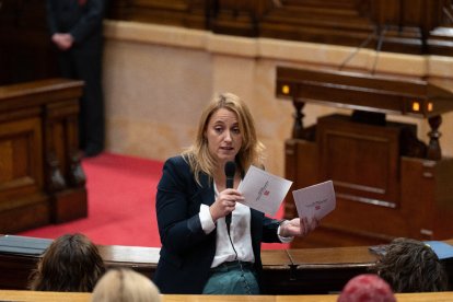 La consellera d’Economia, Natàlia Mas, al Parlament.