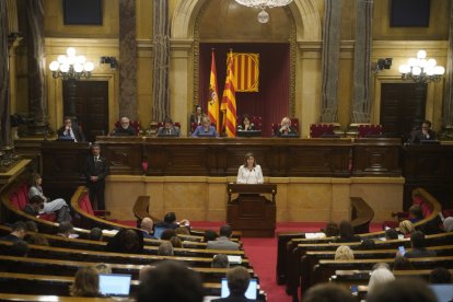 La síndica, durant la compareixença en el ple del Parlament.