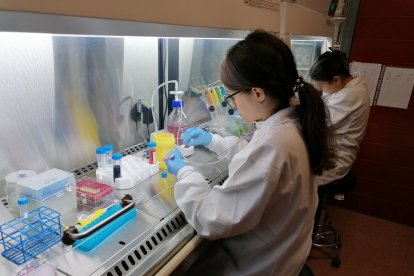 Dos estudiants al laboratori de l’institut Torre Vicens, a Lleida ciutat.