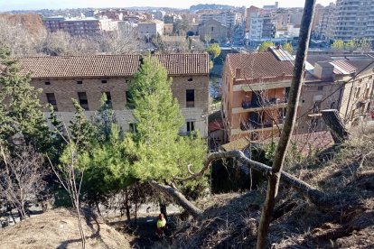 Operaris treballant en la retirada de vegetació.