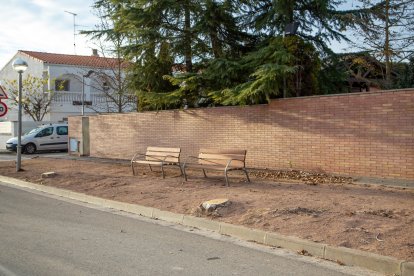 L’ajuntament va talar fa uns dies els arbres del carrer Tempranillo, on les arrels van malmetre un jardí.