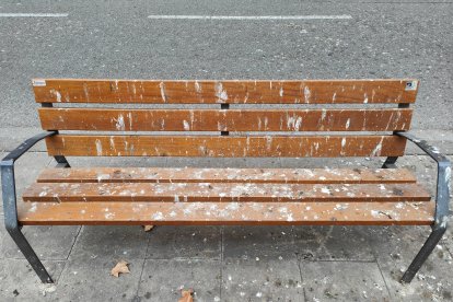 Un banc de Doctora Castells, ahir.