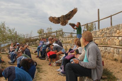 Una de les activitats amb visitants al Zoo del Pirineu.