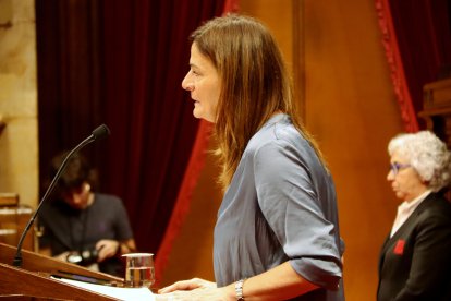 Foto d’arxiu d’una intervenció de Casol al Parlament.