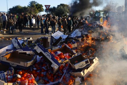 Agricultors cremen fruita espanyola en una protesta a Nimes.