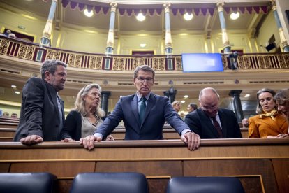 Alberto Núñez Feijóo, moments abans de començar el ple.