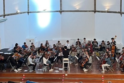 Uns 60 alumnes del conservatori i de l’Institut de Música d’Andorra la Vella s’uniran en dos concerts el 4 i 5 de maig a Puigcerdà i la capital del Principat.